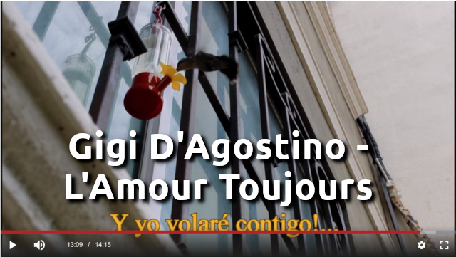 My Hummingbird Visitors – Gigi D’Agostino – L’Amour Toujours (Lyrics English/Español)
