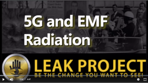Leak Project and 5G Radiation vs Being Healthy (extract)